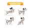 cute dalmatian dog animal pet with many pose bundle set