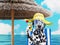 Cute dalmatian dog resting and relaxing on the beach chair under umbrella with juice at the beach ocean shore, on summer