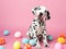 Cute dalmatian puppy and colorful painted easter eggs. Concept of happy easter day