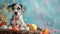 Cute dalmatian puppy and easter eggs on colorful background