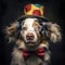 A cute and dapper pup in a stylish clown hat and bow tie. Nostalgic retro style with dark background