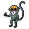 Cute de brazza`s monkey cartoon giving thumb up