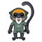 Cute de brazza`s monkey cartoon standing