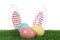Cute decorative Easter bunny ears and dyed eggs on green grass