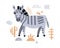 Cute decorative zebra. Animals of Africa. Scandinavian hand drawn vector illustration for design, printing. Minimalistic