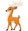 Cute deer cartoon