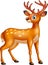 Cute deer cartoon