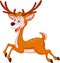 Cute deer cartoon running