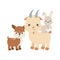 Cute deer goat and rabbit cartoon animals isolated icon design