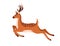 Cute deer jumping over, running. Happy baby reindeer in motion. Graceful dotted fawn moving. Profile of spotted horny