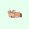 Cute deer is sleeping. Flat cartoon isolated illustration, logo, icon. Useful for print, t-shirt, stickers