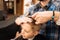 Cute delighted boy having the ends of his hair cut