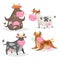 Cute different cows set. Standing, lying, relaxing and meditation poses. Chews green grass. Cartoon kid design style. Cheerful far