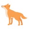 Cute dingo dog icon cartoon vector. Wild animal