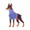 Cute Doberman Dog in Warm Winter Sweater, Symbol of Xmas and New Year, Happy Winter Holidays Concept Cartoon Style