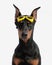 cute doberman pinscher wearing heart shape goggles