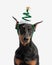 cute dobermann wearing christmas tree hat