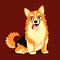 Cute dog breed Corgi