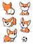 Cute dog breed welsh corgi, collection, vector set illustration