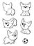 Cute dog breed welsh corgi, collection, vector set illustration