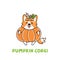 Cute dog breed welsh corgi in a holiday costume pumpkin.