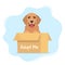 Cute dog in a cardboard box with the inscription Adopt me. Adopt a pet. Cute homeless puppy waiting for the adoption. Vector