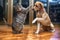 cute dog and cat duo performing synchronized dance moves on a shimmering disco floor