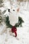 Cute dog in Christmas wreath sitting in snowy winter park. Adorable white swiss shepherd dog in stylish christmas wreath with pine