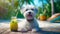 Cute dog with coctail relaxing on sandy beach near sea. Summer vacation with pet. Generative AI