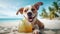 Cute dog with coctail relaxing on sandy beach near sea. Summer vacation with pet. Space for advert