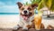 Cute dog with coctail relaxing on sandy beach near sea. Summer vacation with pet. Space for advert