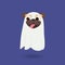 Cute dog dress up ghost suit. Little happy pug puppy in Halloween costume. Ghost Costumes for Dogs. Vector cartoon illustration