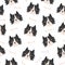 Cute dog faces seamless pattern. Background in cartoon style with funny Collie character