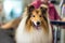 Cute dog at groomer salon, AI Generated