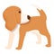 Cute dog icon cartoon vector. Puppy animal