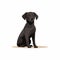 Cute Dog Illustration: Pensive Black Labrador In Detailed Wildlife Style