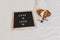 Cute dog jack russell lying on bed at home. Letter board besides with message LOVE IS LOVE.Pride month celebrate and World peace