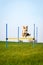 Cute dog is jumping over hurdles, agility training and dog sport