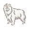 Cute dog Komondor breed pedigree vector illustration