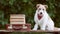 Cute dog listening next to a schoolbag and books, back to school background