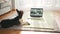 A cute dog is lying on a yoga mat in the living room and watching a video