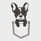 Cute dog Muzzle of frenchie buldog with bunny ears sitting in pocket.