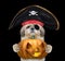 Cute dog in a pirate costume with halloweens pumpkin