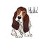 cute dog portrait, basset hound vector illustration, free hand clipart, t-shirt design