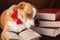 Cute dog posing as an intellectual
