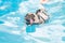 A cute dog Pug swim at a local public pool with life vest and tongue sticking out