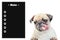 Cute dog puppy pug with black board memo note on white