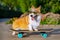 Cute dog puppy redhead  pembroke welsh corgi in holiday glasses in the shape of a dollar standing  a skateboard on the street for