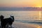 Cute Dog is Resting on a Summer Beach in the Evening at Sunset. Relaxed Dog on a Tropical Beach. A Young White and Black Dog