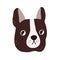 Cute dog's face. Funny puppy's head of French bulldog. Amusing doggy portrait. Adorable muzzle of canine animal. Sweet